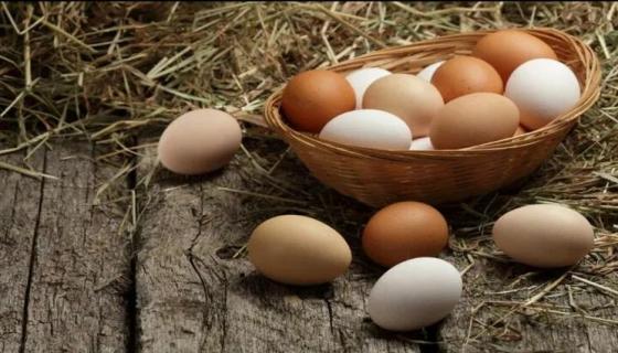 Продаж курячих яєць