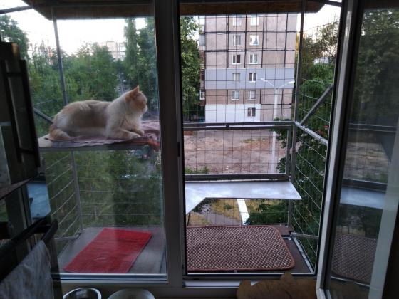 Прогулочный вольер для кошек на окно. Броневик Днепр.