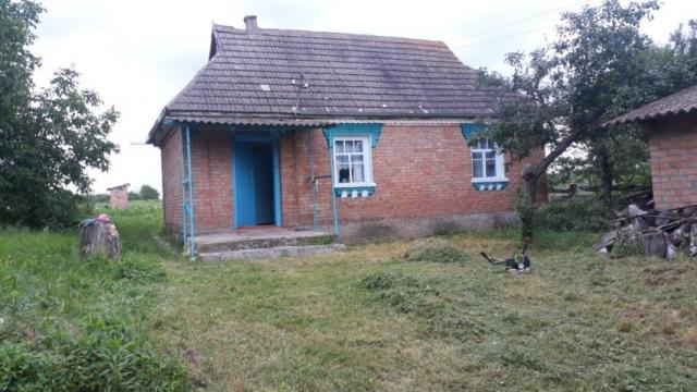 Продам будинок в селі Лісова Лесіїівка Калинівський район Вінницька область