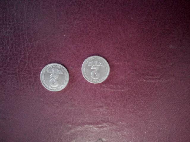 Породам монеты , номиналом (2 коп,1994 год выпуска, одна штука.) и монета  номиналом 2 коп, 1993 год выпуска, одна штука.