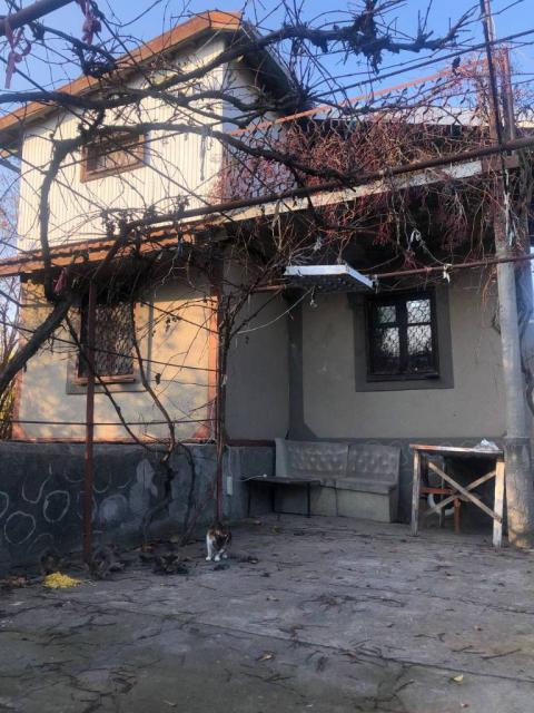 Продам дачу в с.Кошары
