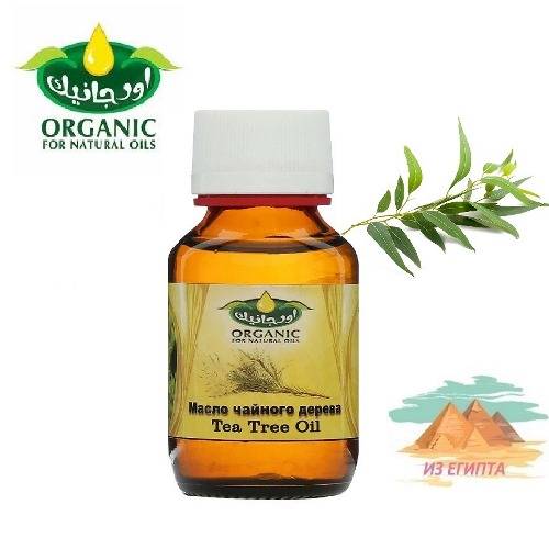 Олія Чайного Дерева з Єгипту Organic Tea Trea Oil