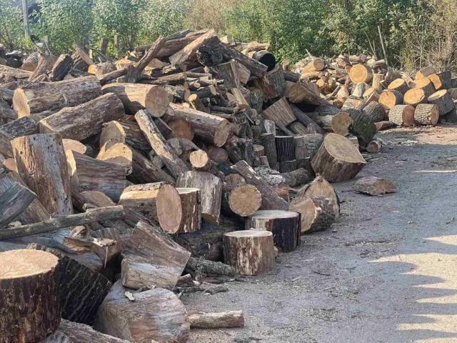 Продаем дрова дубовые 