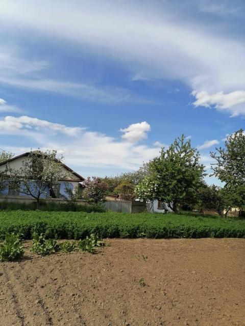 Продам будинок в селі Радісне, Хмельницької області