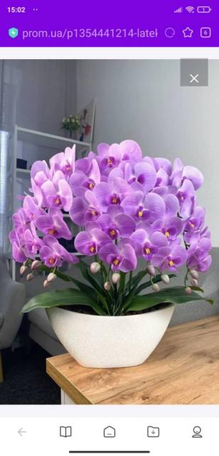 Продаються Латексні орхідеї.Їх не потрібно поливати, підживляти, вони будуть цвісти круглий рік без особливого догляду.В наявності є великий вибір .хто бажає звертайтеся.0974481930