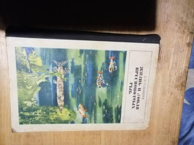 Сабанеев. Жизнь и ловля пресноводних риб. 1970 р.