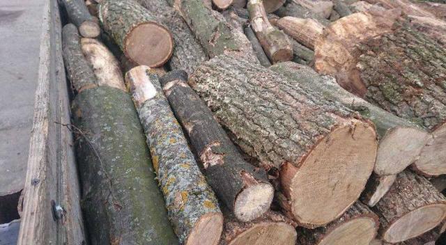 Продам дрова твердой породы, дуб, акация, ясень, граб.