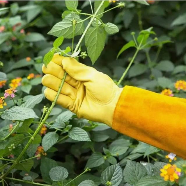 Комфортні рукавички для обрізання троянд та колючих рослин