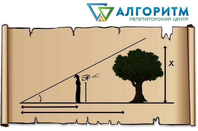 Репетитор англійської мови, українська мова, історія, біологія, хімія, математика. Заняття у Дніпрі (пр. О. Поля)