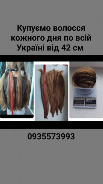 Продать волосы, куплю волосся по всій Україні від 42 см -0935573993