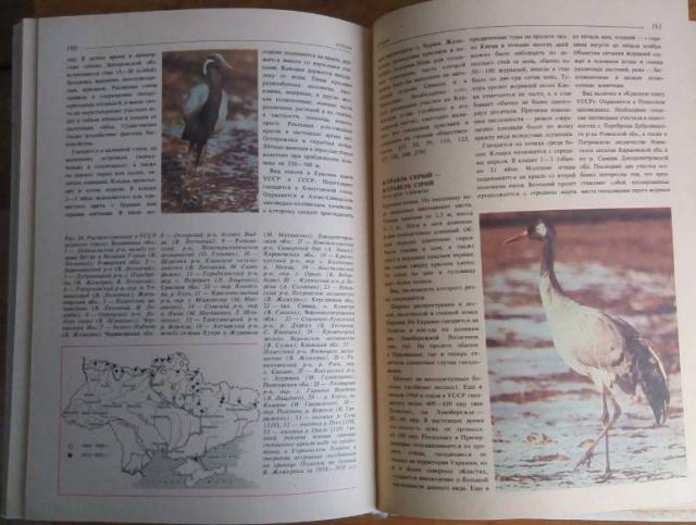 Рідкісні та зникаючі рослини та тварини України. Чопик В.И. Щербак Н.Н., Кременчуг — 4/4