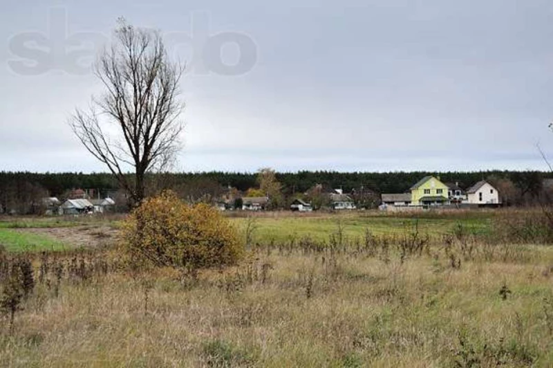 Земельна ділянка продаж Жереб’ятин, Жереб’ятин — 2/4