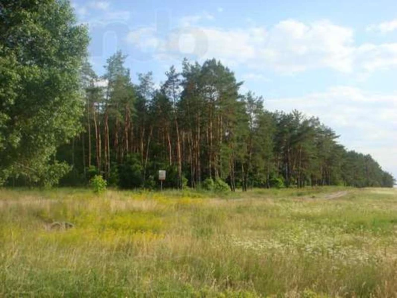 Земельна ділянка продаж Рогозів