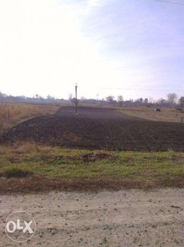 Земельна ділянка продаж Любарці