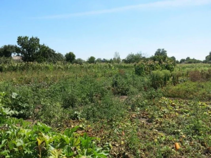 Земельна ділянка продаж Рогозів, Рогозів — 2/2