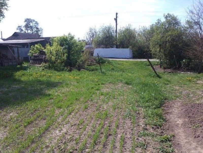 Земельна ділянка продаж Сеньківка, Сеньківка — 3/3