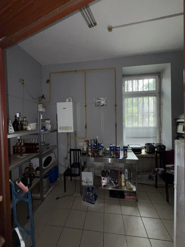 Комерційна нерухомість – 80 м², Великий Березний — 10/12