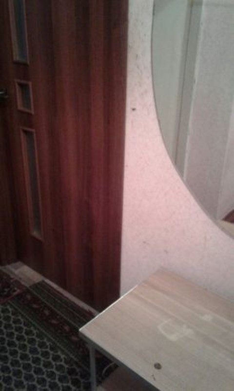 Квартира 1-кімн. оренда Полтава, Шевченковский (Октябрьский) – 30 м², Полтава — 4/9