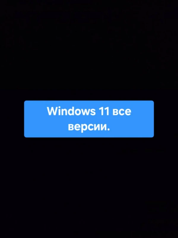 Завантажувальна флешка windows 11 64gb. Необрізана / Оригінальна / Багатомовна, Николаев — 2/3