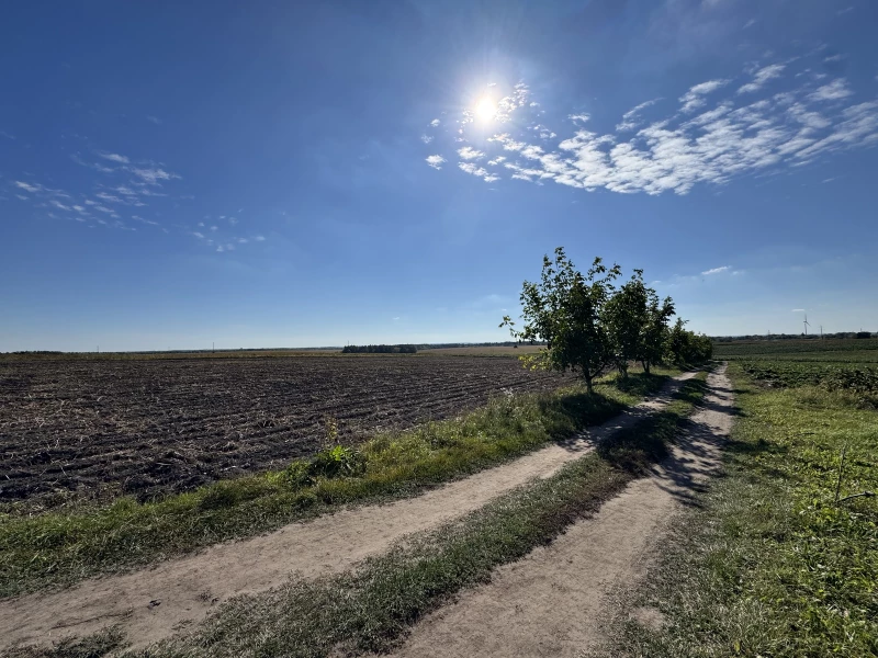 Земельна ділянка продаж Бонівка, Боновка — 5/9