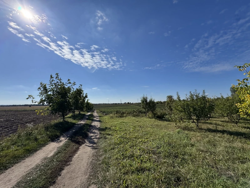 Земельна ділянка продаж Бонівка, Боновка — 6/9