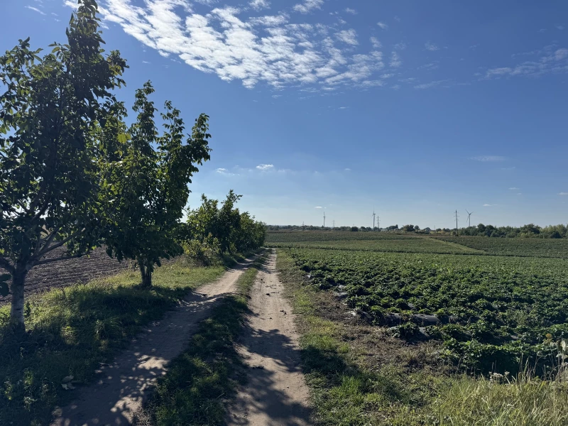 Земельна ділянка продаж Бонівка, Боновка — 9/9