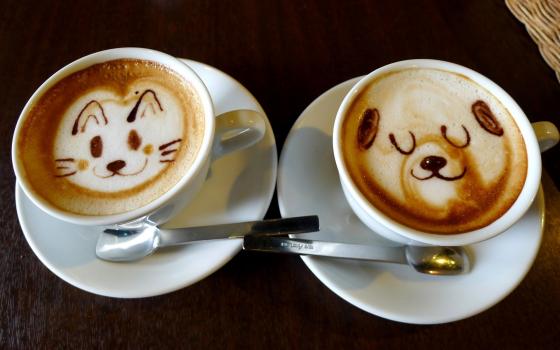 Интернет магазин Сoffeeman предлагает кофе по лучшим ценам