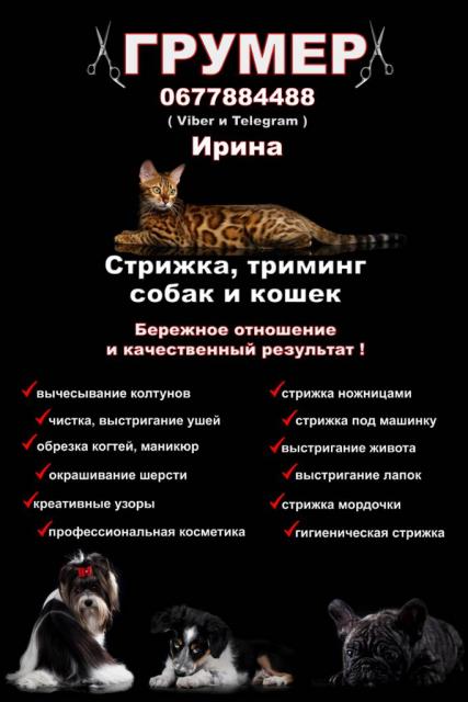 Грумер Харьков - Песочин , Стрижка собак и кошек