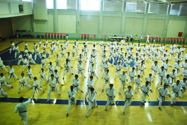 Karate-Do Shotokan SKIF