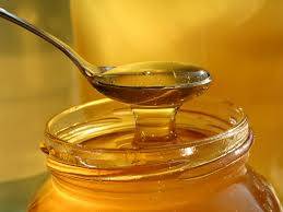 Куплю мед по високим цінам