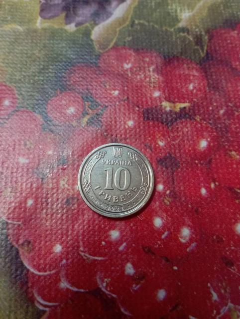 Монета 10 гривен. Мили територіальної оборони