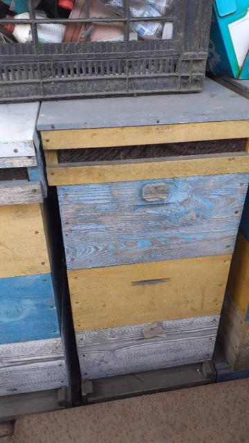 Продам улики для пчел