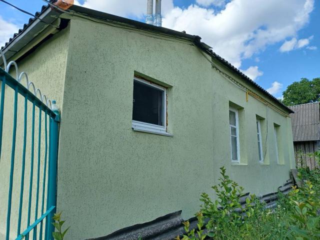 Продам будинок у мальовничому селі Городнє