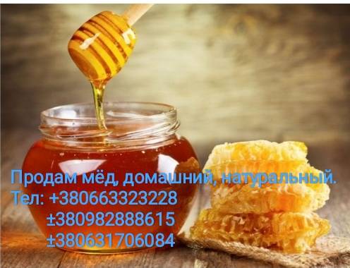 Продам  мед домашний