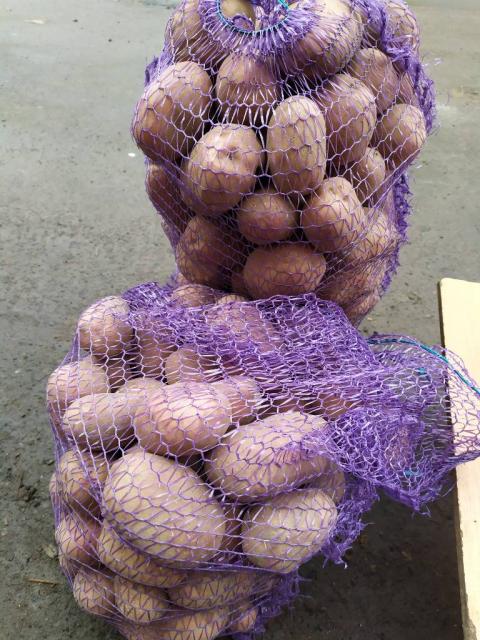 Продам картоплю з доставкою по рівному