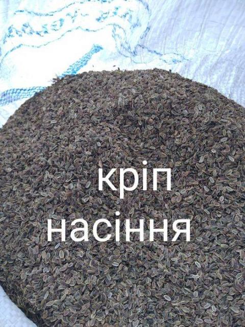 Кріп            насіння