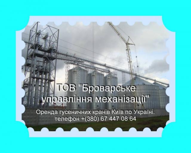 Оренда гусеничних кранів МКГ-25БР Київ, Бровари по Україні.