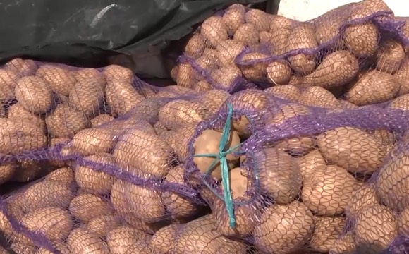 Картопля Безкоштовно