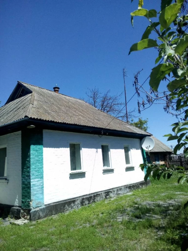 Продаж будинку, Черкаська область, село Драбівка