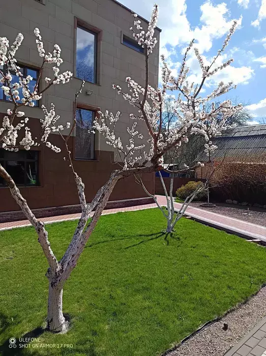 Будинок продаж Вишневе – 280 м²