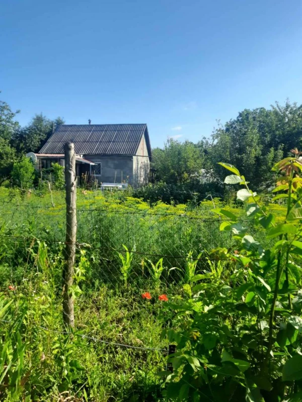 Дача з садибою 10-соток й 2 дод. діл. горіховою, і звичайною, Хмельницький — 2/8