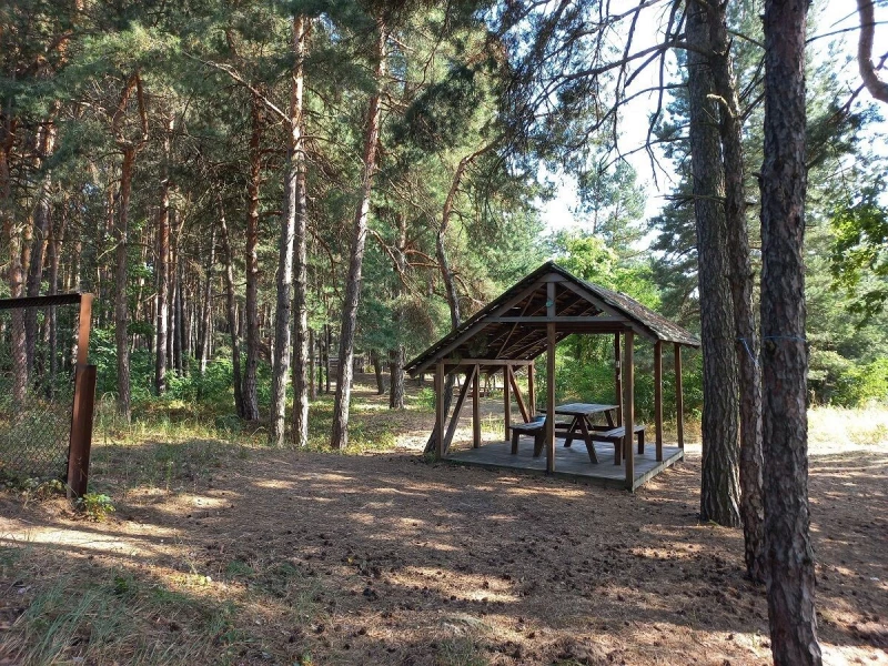 Комерційна нерухомість – 3000 м², Ліпляве — 3/15