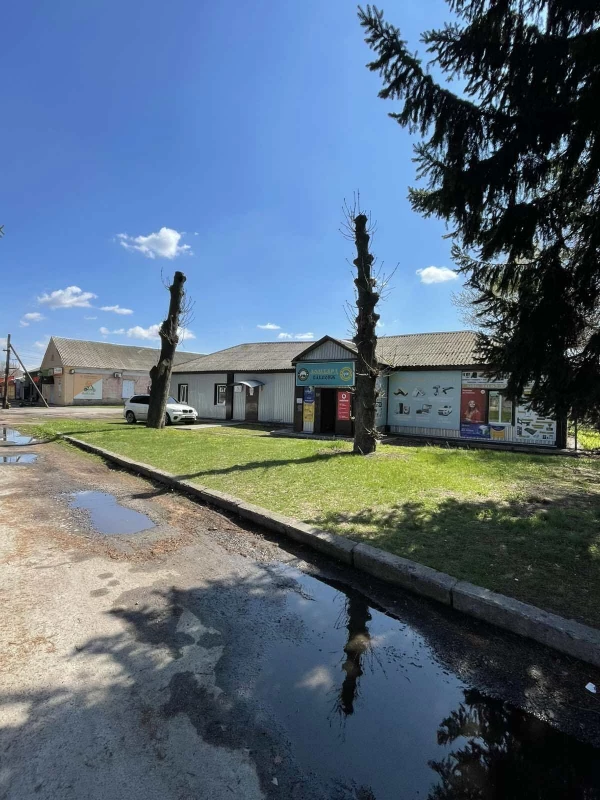 Комерційна нерухомість – 45 м², Гребінка — 2/10