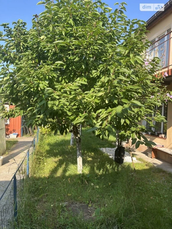Будинок продаж Хмельницький, Ракове – 80 м², Хмельницький — 8/15