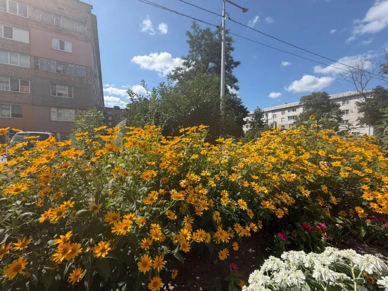 Квартира 1-кімн. продаж Петропавлівська Борщагівка – 23 м², Петропавловская Борщаговка — 2/15