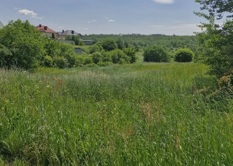 Земельна ділянка продаж Підгороднє, Підгороднє — 2/11
