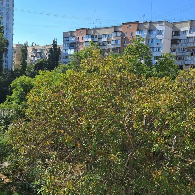 Квартира 1-кімн. продаж Одеса, Київський – 17.5 м²