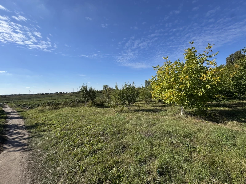 Земельна ділянка продаж Бонівка, Боновка — 7/9