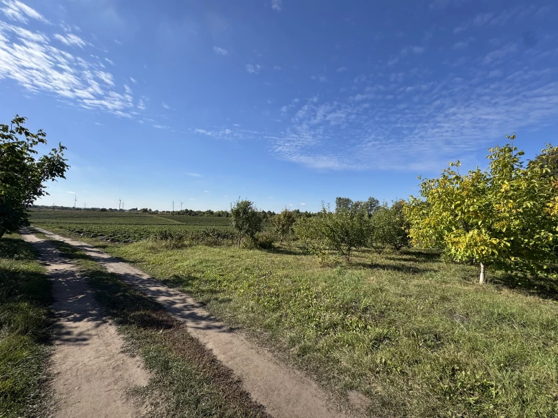 Земельна ділянка продаж Бонівка, Боновка — 8/9