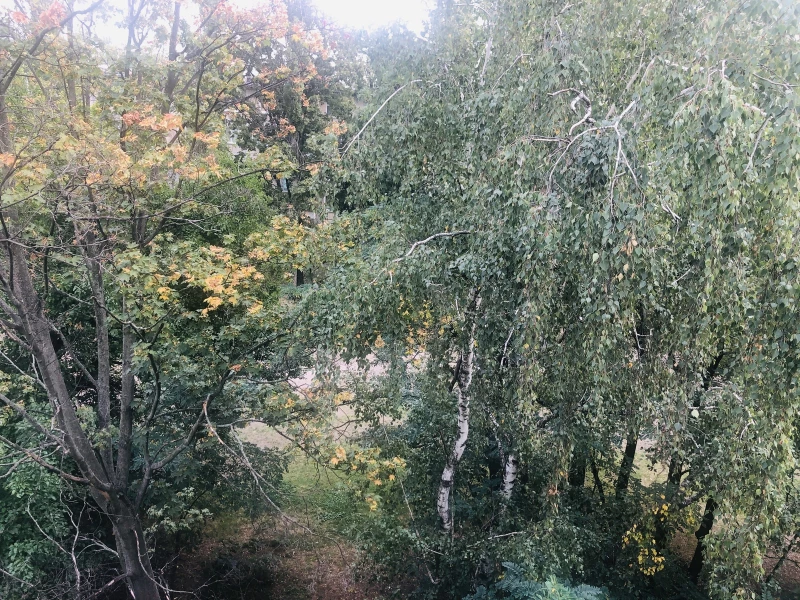Квартира 1-кімн. оренда Київ, Днепровский – 16 м², Киев — 8/8